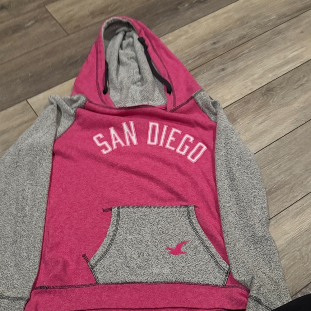 Camp David Pink and Gray Hoodie
